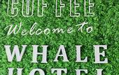 Туры в отель Mr. Whale Hotel