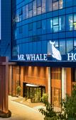 Туры в отель Mr. Whale Hotel