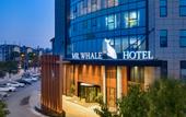 Туры в отель Mr. Whale Hotel