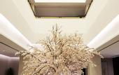 Туры в отель Mochi Hotel (Hangzhou Bay Financial Plaza)
