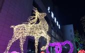 Туры в отель Dingyi Hotel