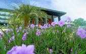Туры в отель Swiss-Belresort Belitung