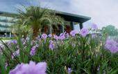 Туры в отель Swiss-Belresort Belitung