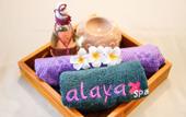 Туры в отель Swiss-Belhotel Serpong