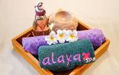 Туры в отель Swiss-Belhotel Serpong