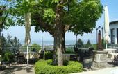 Туры в отель Burg Windeck