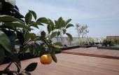 Туры в отель Hi Residences