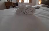 Туры в отель Sara Hotel