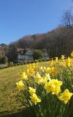 Туры в отель Le Manoir des Impressionnistes - Bord de Mer