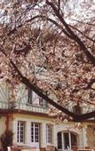 Туры в отель Le Manoir des Impressionnistes - Bord de Mer