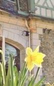 Туры в отель Le Manoir des Impressionnistes - Bord de Mer