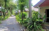 Туры в отель Thai House Beach Resort