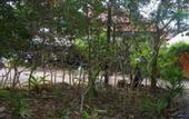 Туры в отель Thai House Beach Resort