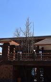 Туры в отель Bhumisiri Hill Khaoyai