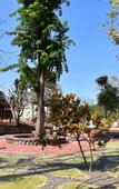 Туры в отель Bhumisiri Hill Khaoyai