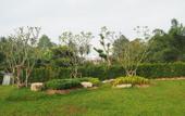Туры в отель Friendly Hotel Krabi