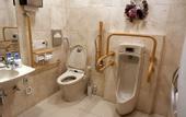 Туры в отель Toyoko Inn Toyama Station Sinkansen 1