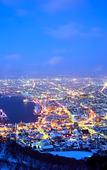 Туры в отель Toyoko Inn Hokkaido Hakodate Ekimae Daimon