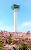 Туры в отель Toyoko Inn Hokkaido Hakodate Ekimae Daimon