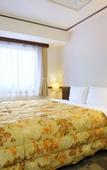 Туры в отель Toyoko Inn Hokkaido Hakodate Ekimae Daimon