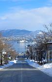 Туры в отель Toyoko Inn Hokkaido Hakodate Ekimae Daimon