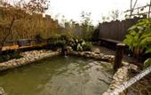 Туры в отель Dormy Inn Kofu Natural Hot Spring