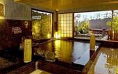 Туры в отель Dormy Inn Kofu Natural Hot Spring