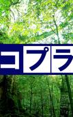 Туры в отель Asanokan