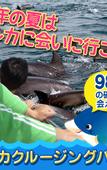 Туры в отель Ooedo Onsen Monogatari Amakusa Hotel Kameya