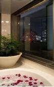 Туры в отель Harmonie Embrassee Osaka
