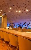 Туры в отель The Gran Resort Elegante Kyoto