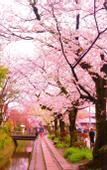 Туры в отель The Gran Resort Elegante Kyoto