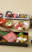 Туры в отель The Gran Resort Elegante Kyoto
