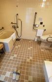Туры в отель The Gran Resort Elegante Kyoto