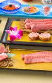 Туры в отель The Gran Resort Elegante Kyoto