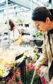Туры в отель The Gran Resort Elegante Kyoto
