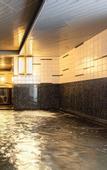 Туры в отель The Gran Resort Elegante Kyoto