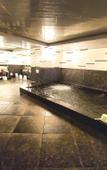 Туры в отель The Gran Resort Elegante Kyoto