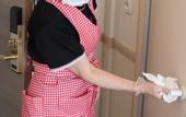 Туры в отель Toyoko Inn Shin-Aomori-eki Higashi-guchi