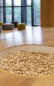 Туры в отель Umekoji Potel KYOTO