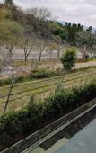 Туры в отель Umekoji Potel KYOTO