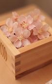 Туры в отель THE JUNEI HOTEL Kyoto