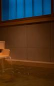Туры в отель THE JUNEI HOTEL Kyoto