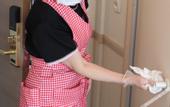Туры в отель Toyoko Inn Himeji-eki Shinkansen Kita-guchi