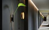 Туры в отель The Ritz-Carlton, Nikko