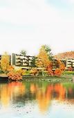 Туры в отель The Ritz-Carlton, Nikko