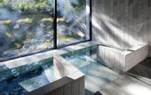Туры в отель The Ritz-Carlton, Nikko
