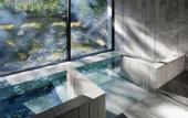 Туры в отель The Ritz-Carlton, Nikko
