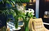 Туры в отель Halo Boutique Hotel