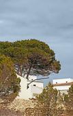 Туры в отель Hotel Menorca Experimental